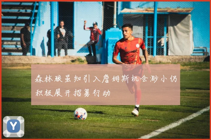 森林狼虽知引入詹姆斯机会渺小仍积极展开招募行动