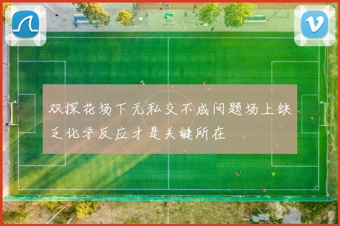 双探花场下无私交不成问题场上缺乏化学反应才是关键所在
